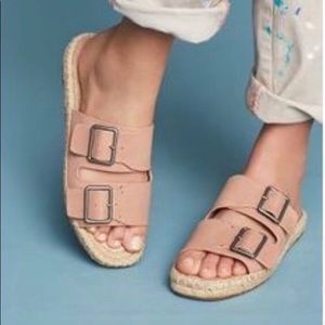 Splendid Sandals